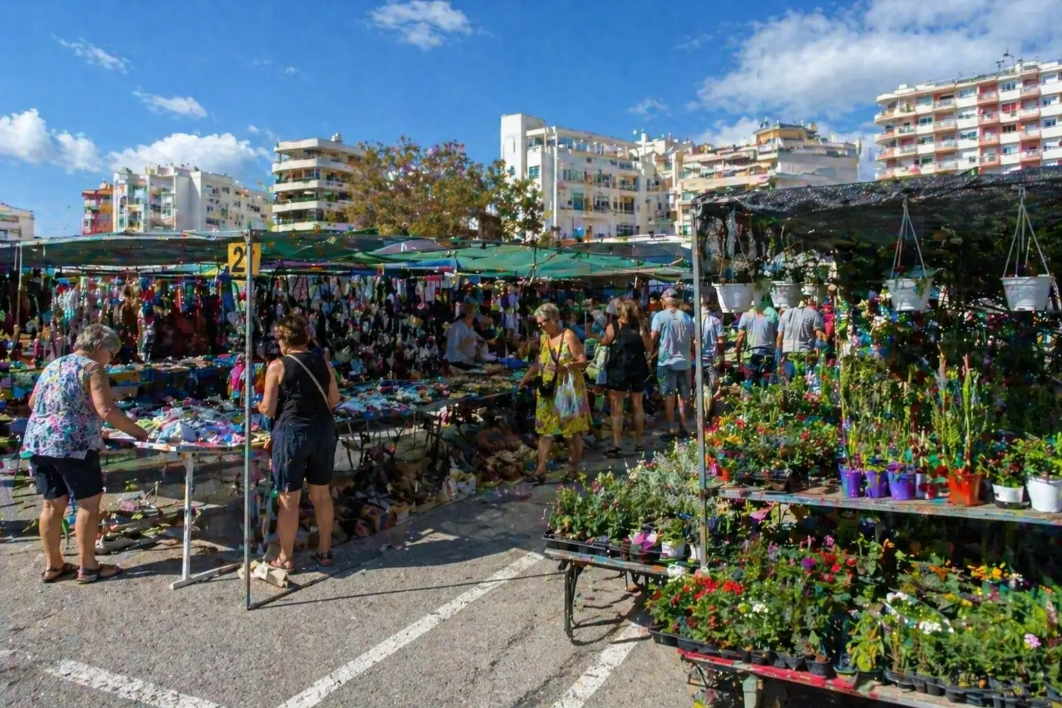 Wochenmarkt Dénia (Montag)