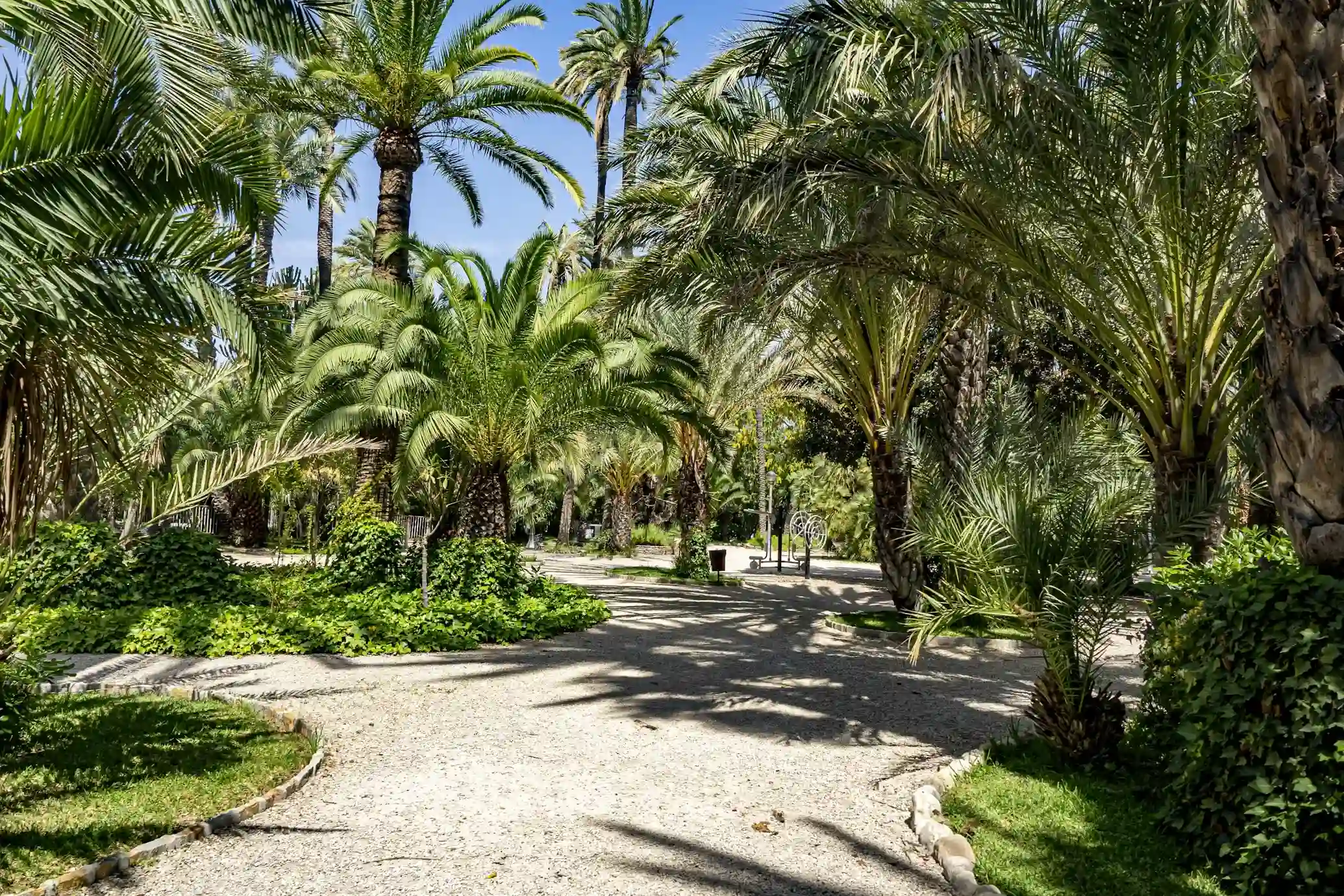 Elche — Leben und Alltag