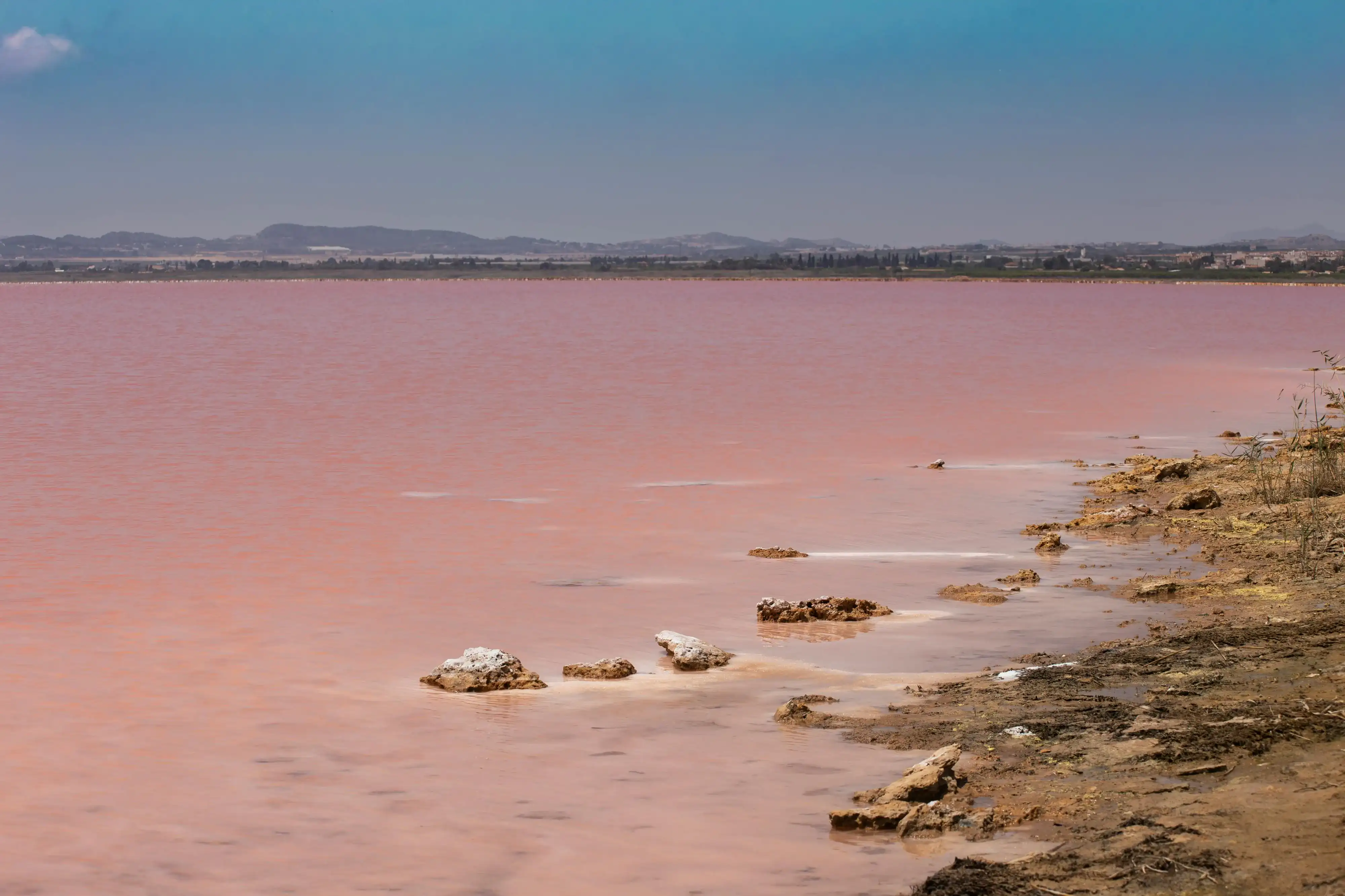 Torrevieja — Leben und Alltag